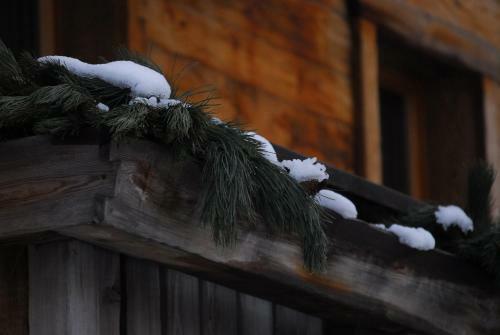Alpen Hotel Chalet