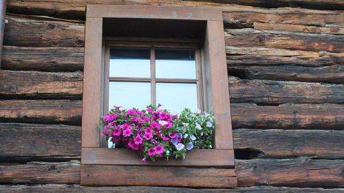 Apartamento Chalet Matteo