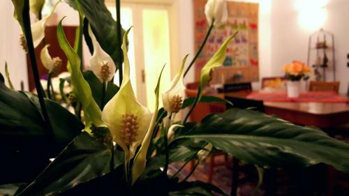 Bed & Breakfast Attico Barocco