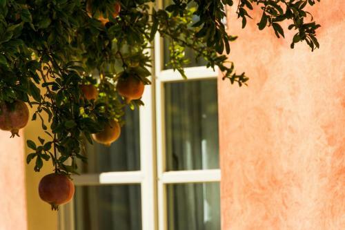 Agroturismo La Beccanina