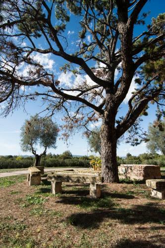 Agroturismo La Beccanina