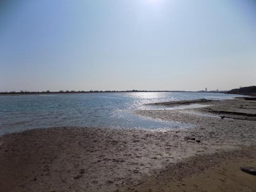 Apartment In Eraclea Mare 25733