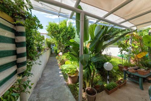 Bed & Breakfast Maison Twentyfive