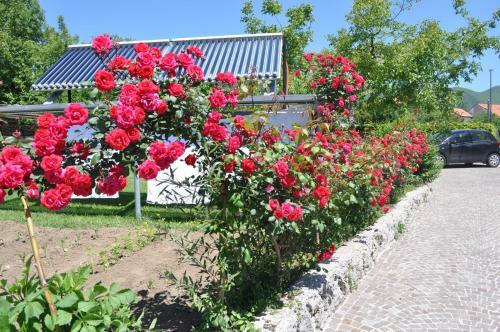 Bed & Breakfast Nido Verde