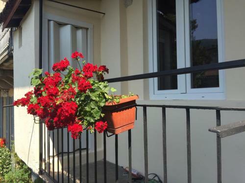 Apartamento Appartamenti Edvina