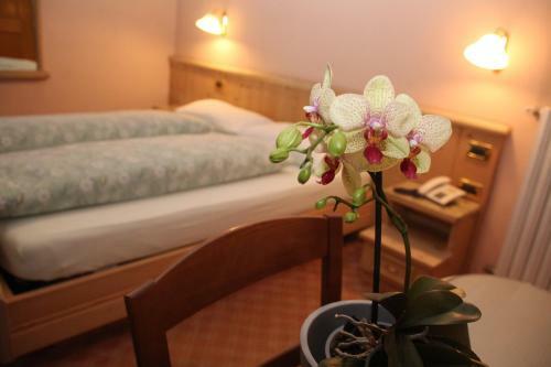 Hotel Albergo Caravasc