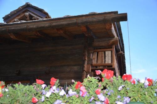 Apartamento Chalet Svizzero