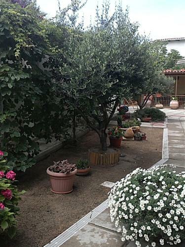 Apartamento Casa Vacanze Villa Doria