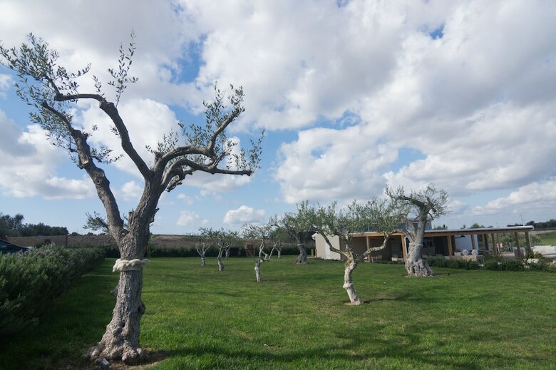 Apartamento Agua Green Resort