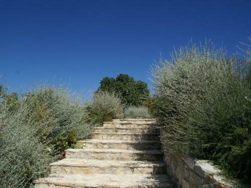 Apartamento Podere Vallerona La Canonica