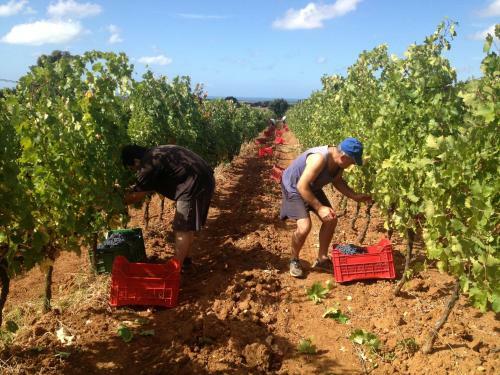 Agroturismo La Sassetta