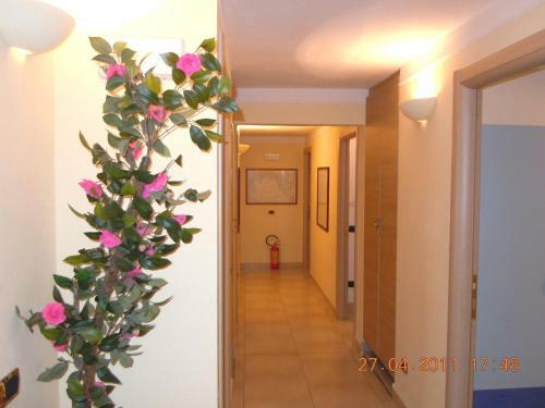 Hotel Albergo La Lampara