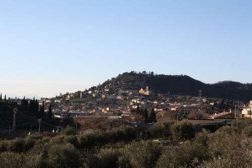 Agroturismo Al Colle