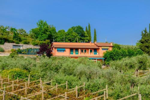 Agroturismo Al Colle