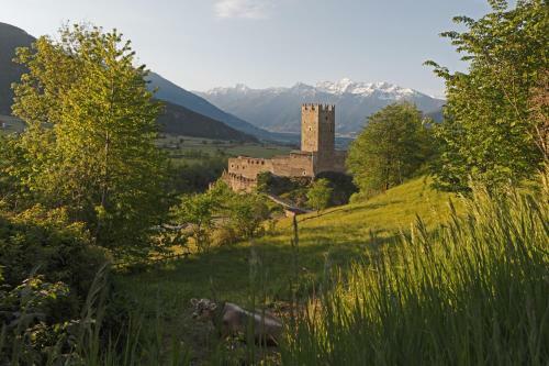 Aparthotel Garni Appartements Almrausch
