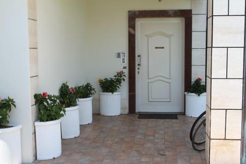 Ostia Antica Suite B&B