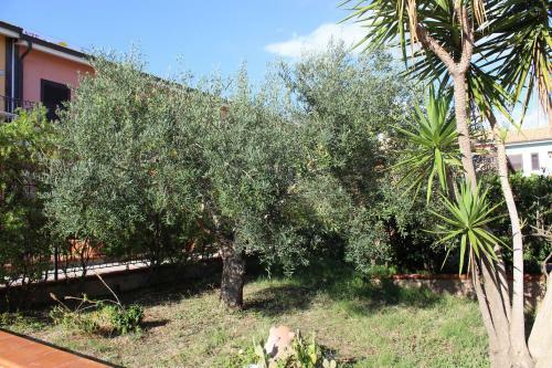 Apartamento Case Vacanze Ancora