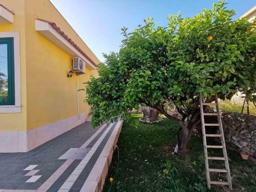 Casa Vacanze Villa Santina