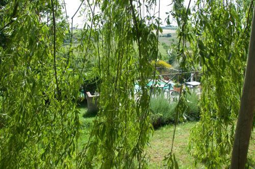 Agroturismo Agriturismo Quartopodere