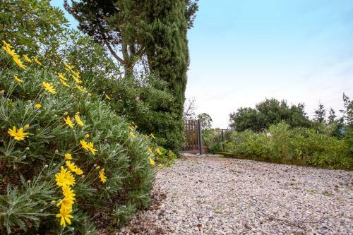 Apartamento Appartamento Villa Vittorio