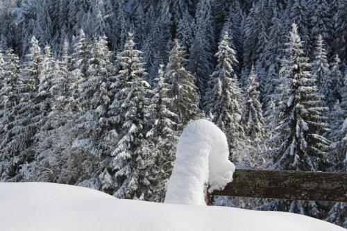 Apartamento Bad Bergfallerhof