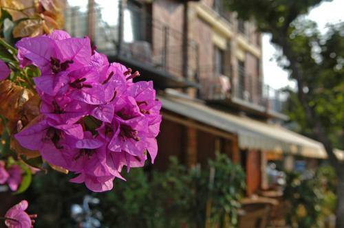 Hotel Garni Onda