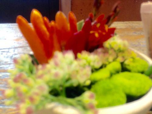 Bed & Breakfast Marina Di Castello