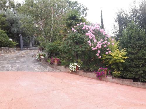 Apartamento Elio E Dony