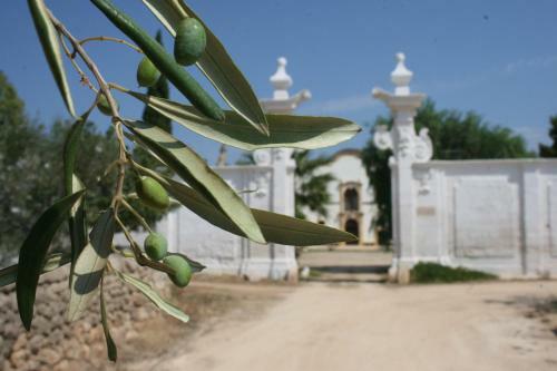 Agroturismo Masseria Maccarone