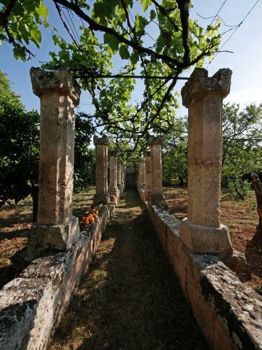 Agroturismo Masseria Maccarone