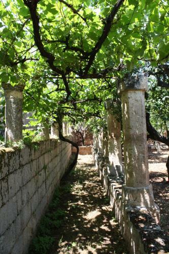 Agroturismo Masseria Maccarone