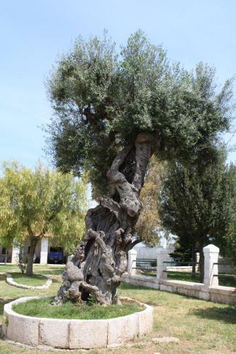 Agroturismo Masseria Maccarone