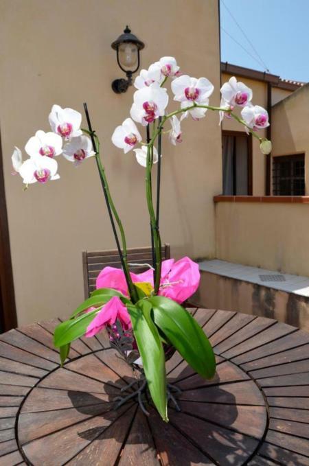Cassisi Hotel
