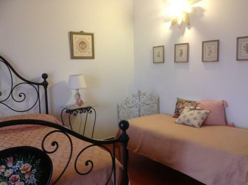 Bed & Breakfast Cisanello House