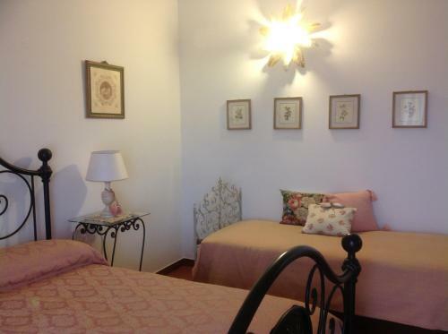 Bed & Breakfast Cisanello House