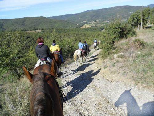 Agroturismo Colleverde Country House