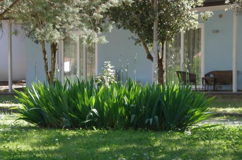 Agroturismo Colleverde Country House