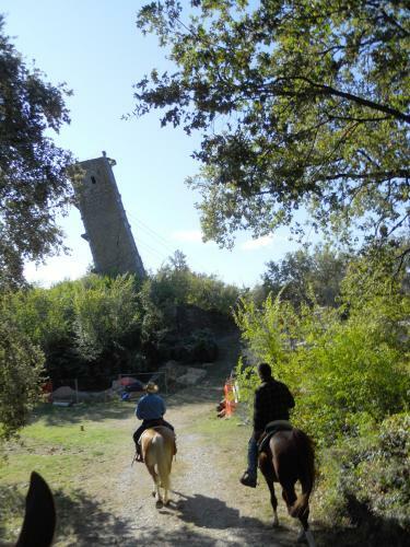 Agroturismo Colleverde Country House