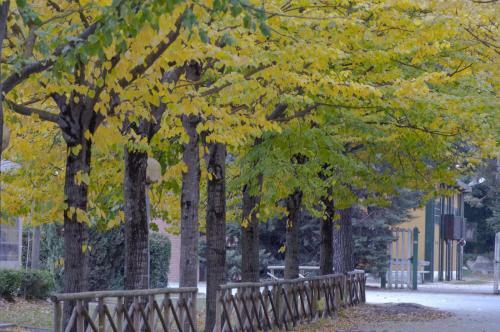 Agroturismo Colleverde Country House