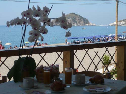 Bed & Breakfast Zi Bak