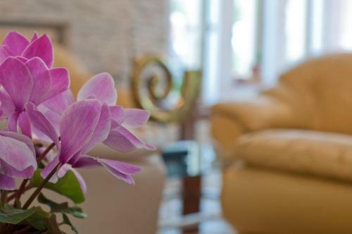 Hotel Albergo La Rosetta