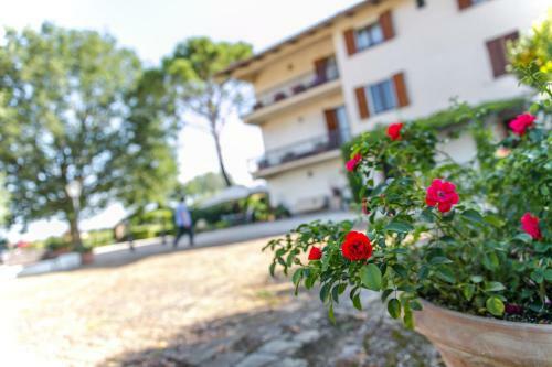 Agroturismo Agriturismo B&B Il Quercione