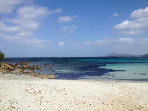 Luxury Apartment Sardegna