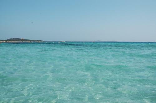 Luxury Apartment Sardegna