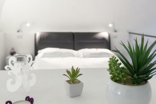 Hostal Etna Suite Group
