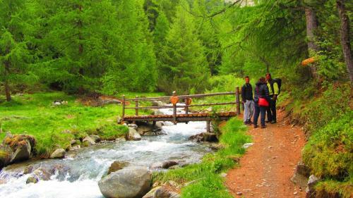 Apartamento Appartamenti Gallo