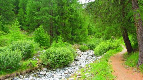 Apartamento Appartamenti Gallo