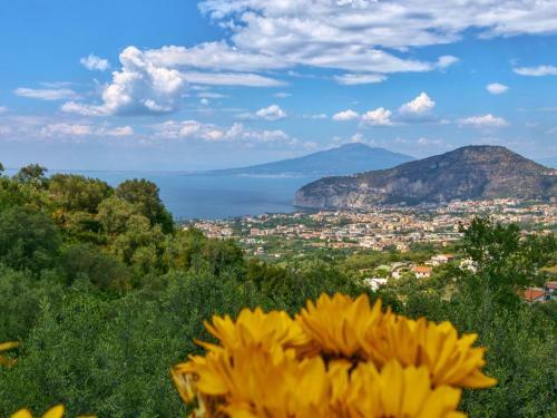 Apartamento Gli Ulivi 2