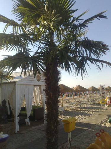 Hotel Thea & Residence