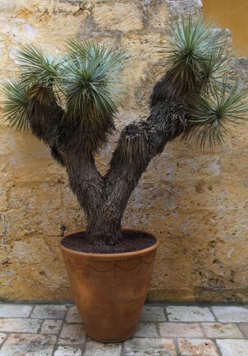 Bed & Breakfast Palazzo Morisco